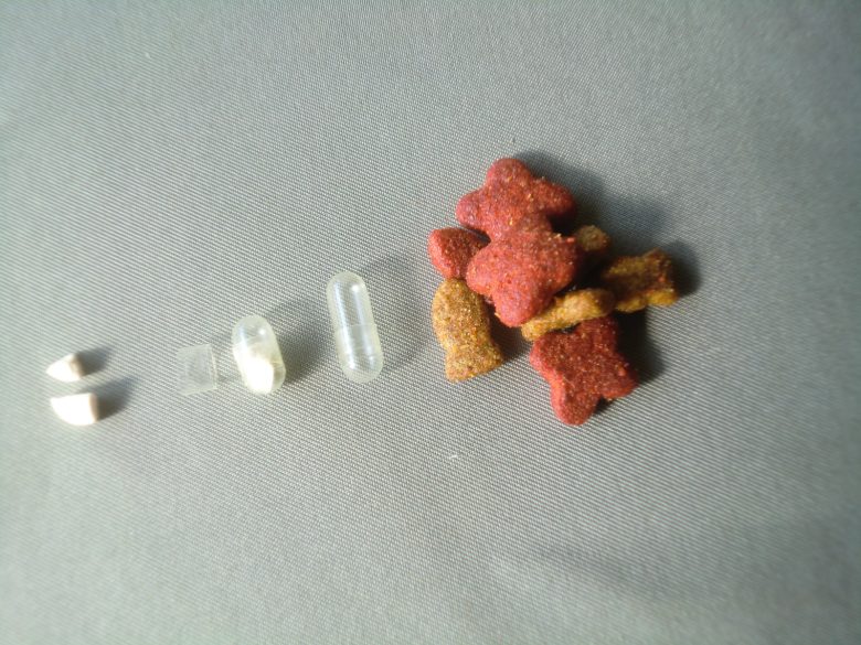 犬・猫・ニワトリの投薬の仕方