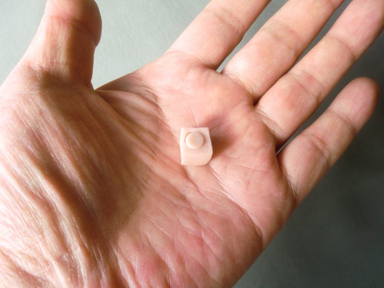 犬・猫・ニワトリの投薬の仕方