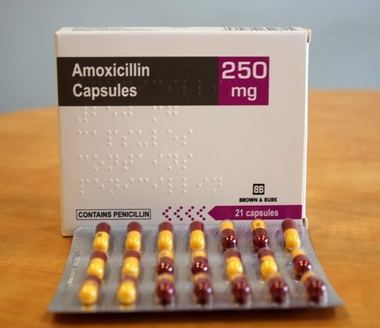 アモキシシリン(Amoxicillin) ～ 咬傷やひっかき傷によるパスツレラ症(家禽コレラ)の予防に役立つ