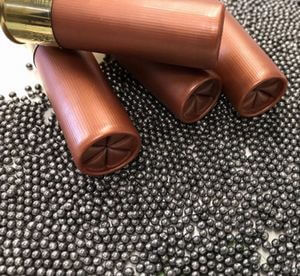 鉛 Lead Pb ～ 原因