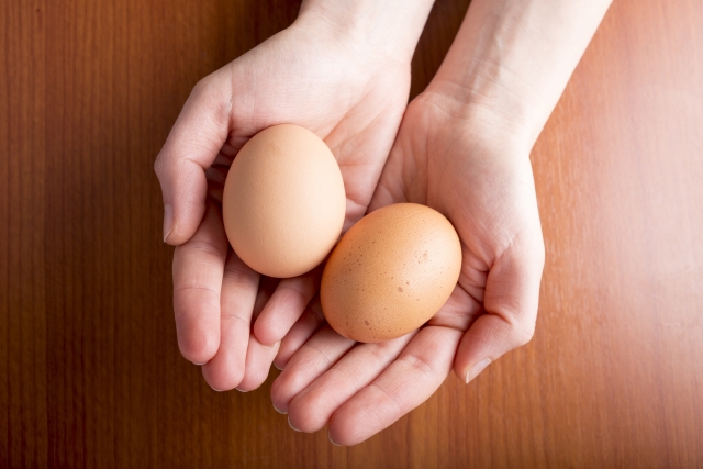鶏の食卵癖を解消と対策