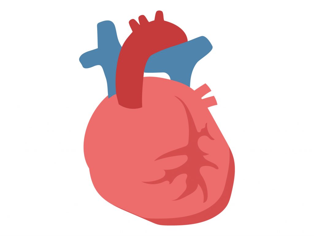 心筋の進行性疾患 拡張型心筋症