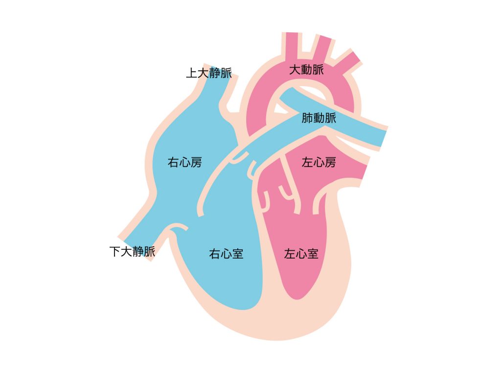 ニワトリの心不全・突然死症候群