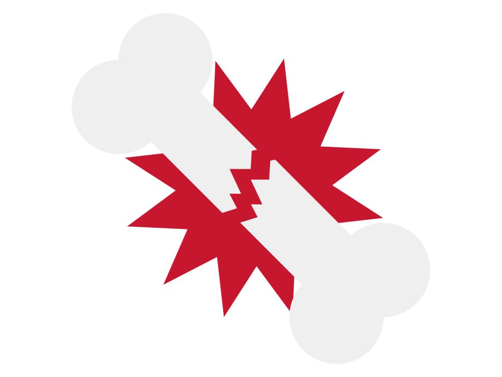 高齢の産卵鶏によく発生する骨粗鬆症