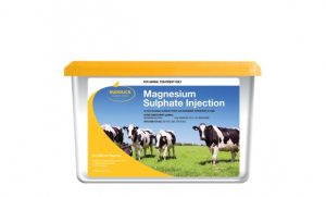 Ca, P, Mg代謝異常に用いる薬物