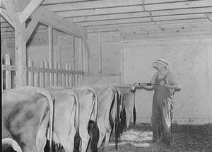 DDT・BHC ～ 中毒の原因